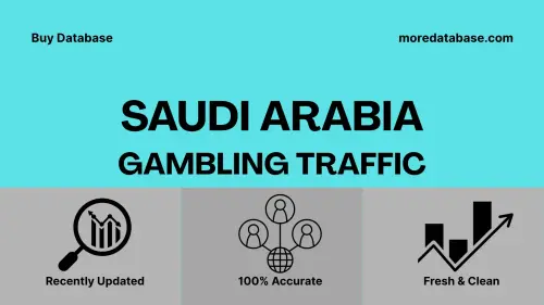 imageye imgi 18 Saudi Arabia Gambling Traffic.webp