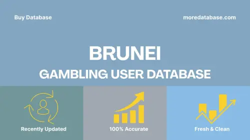 imageye imgi 11 Brunei Gambling User Database.webp