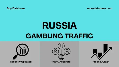 imageye imgi 19 Russia Gambling Traffic.webp