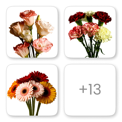 BB Icon 1 Decorative Flowers NCR and PUN.png
