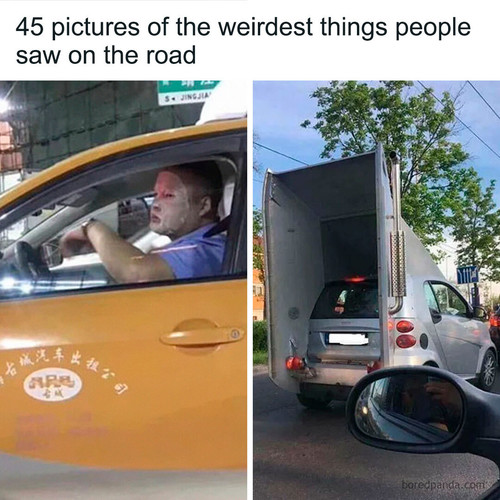 funny pictures.jpg