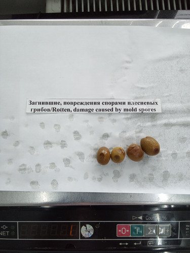 IMG 20260424 143626.jpg