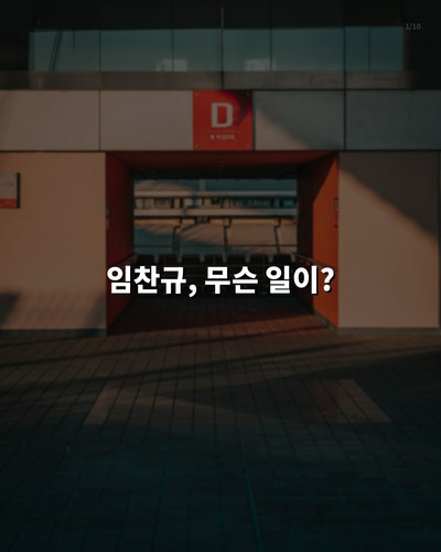 61d91ff51c4f.jpg