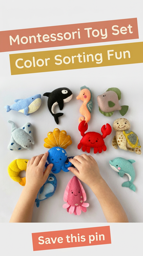 Montessori Toy Set.png