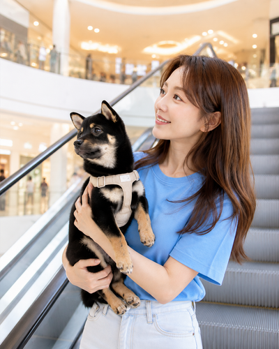 봄, 스타필드 에스컬레이터에서2.png
