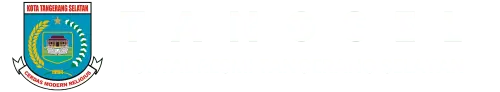 logo pemda.webp