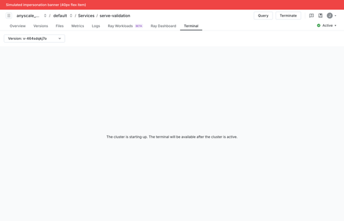 local svc terminal after switch banner.png