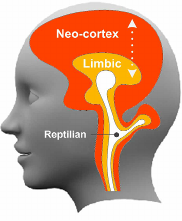 The Triune Brain formations (1).png