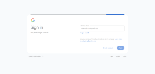 2026 05 05T17 41 09 771Z GOOGLE email entered password.png
