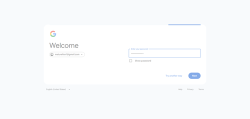 2026 05 05T17 41 31 606Z GOOGLE password entered.png