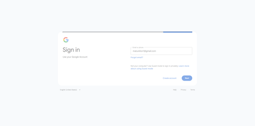 2026 05 05T17 29 36 223Z GOOGLE email entered password.png
