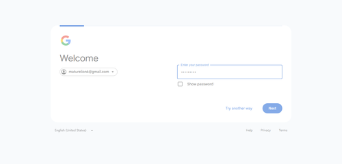 2026 05 05T17 29 46 317Z GOOGLE password entered.png