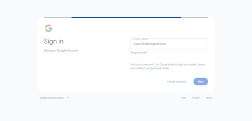 2026 05 05T17 29 42 678Z GOOGLE email entered password.png