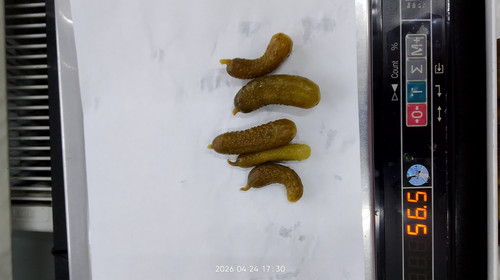 IMG 20260424 173032.jpg
