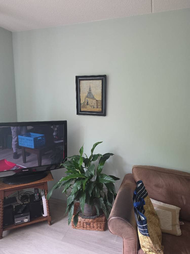 529dbb4cf425.jpg