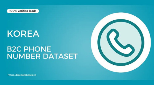 Korea B2C Phone Number Dataset.jpg