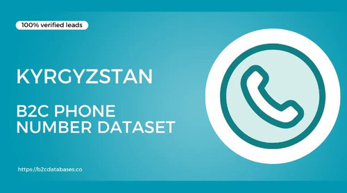 Kyrgyzstan B2C Phone Number Dataset.jpg