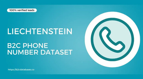 Liechtenstein B2C Phone Number Dataset.jpg