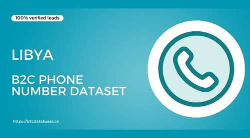 Libya B2C Phone Number Dataset.jpg
