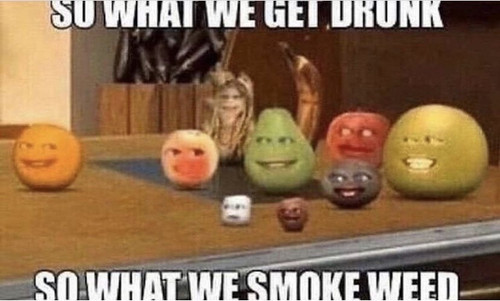 95559194f0c5c39a8e9c5cdb0c38f0e0ea41a2e9.jpg