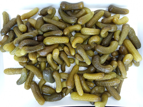 IMG 20260425 125725.jpg