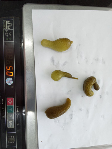 IMG 20260425 130317.jpg