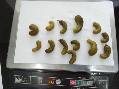 IMG 20260425 130219.jpg