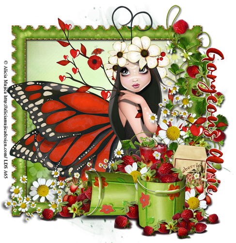 Gorgeous Arie 2026Fruity2