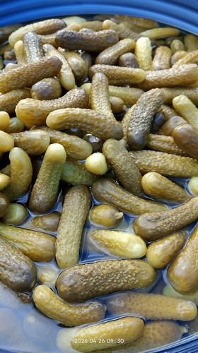 IMG 20260426 093007.jpg