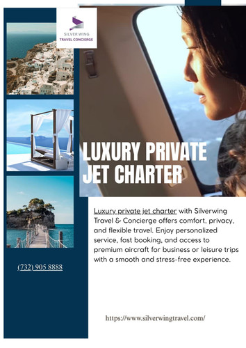 Luxury Private Jet Charter.jpg