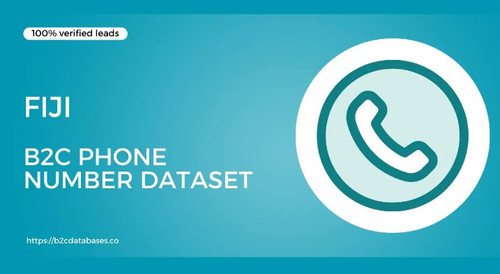 Fiji B2C Phone Number Dataset.jpg