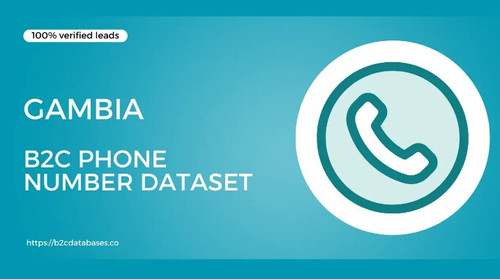Gambia B2C Phone Number Dataset.jpg