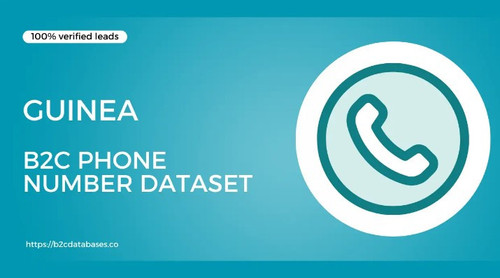 Guinea B2C Phone Number Dataset.jpg