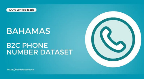 Bahamas B2C Phone Number Dataset.jpg