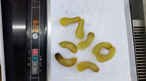 IMG 20260426 101809.jpg