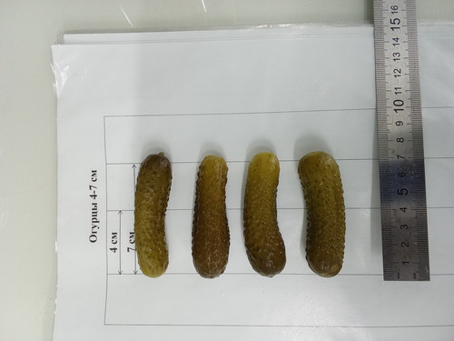 IMG 20260429 143418.jpg