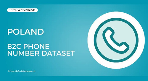 Poland B2C Phone Number Dataset.jpg