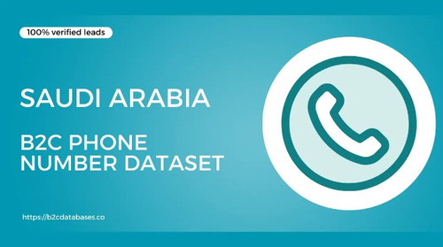 Saudi Arabia B2C Phone Number Dataset.jpg