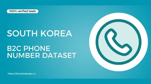 South Korea B2C Phone Number Dataset.jpg