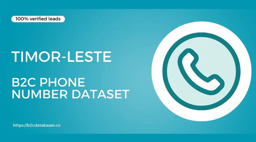 Timor Leste B2C Phone Number Dataset.jpg