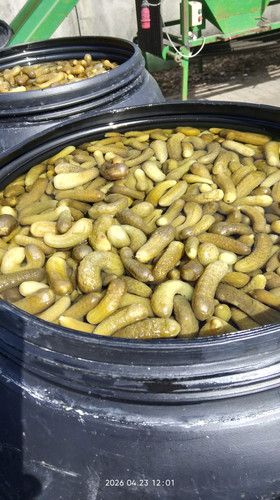 IMG 20260423 120102.jpg