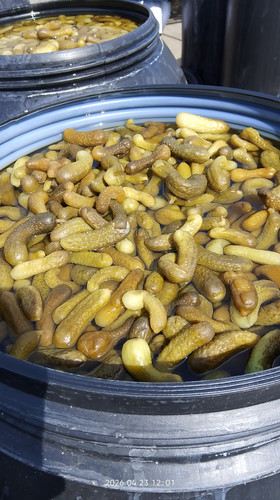 IMG 20260423 120114.jpg