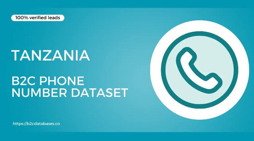 Tanzania B2C Phone Number Dataset.jpg