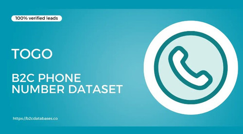 Togo B2C Phone Number Dataset.jpg
