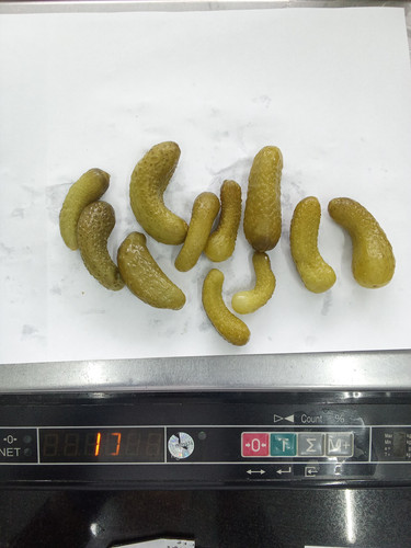IMG 20260429 142817.jpg