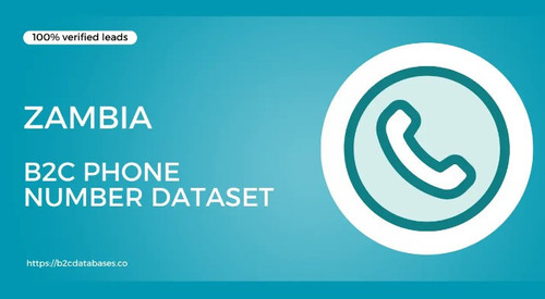 Zambia B2C Phone Number Dataset.jpg