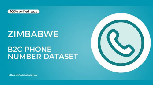 Zimbabwe B2C Phone Number Dataset.jpg