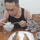 2edda998d5983013dd7eb32f48663488ad054555.gif