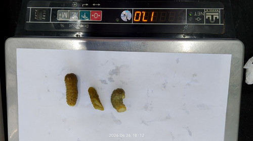 IMG 20260426 181212.jpg