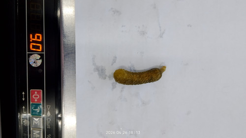IMG 20260426 181328.jpg